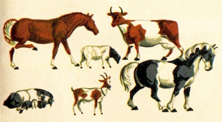 Barnyard Animals Set
