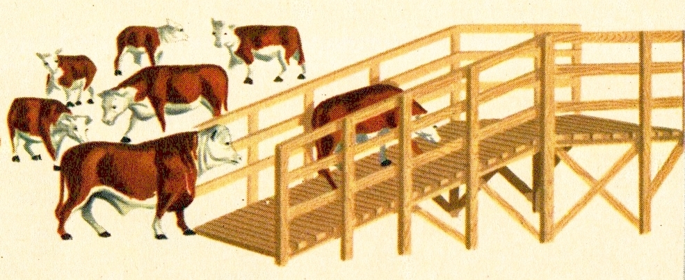 Cattle Set
